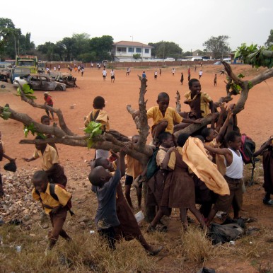 2008-02-08  KINDERBAUM AUF PAUSENPLATZ, Accra, Ghana